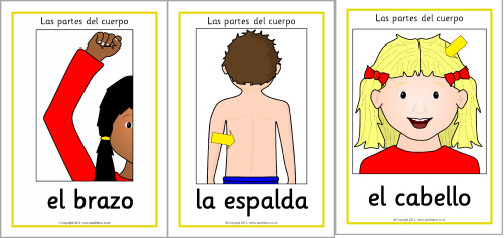 body-parts-spanish