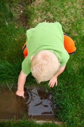 child-curiosity