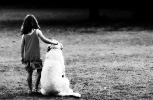 best-friends-pet