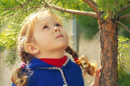 girl-in-pine-forest