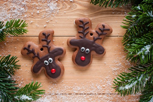 reindeer-cookies