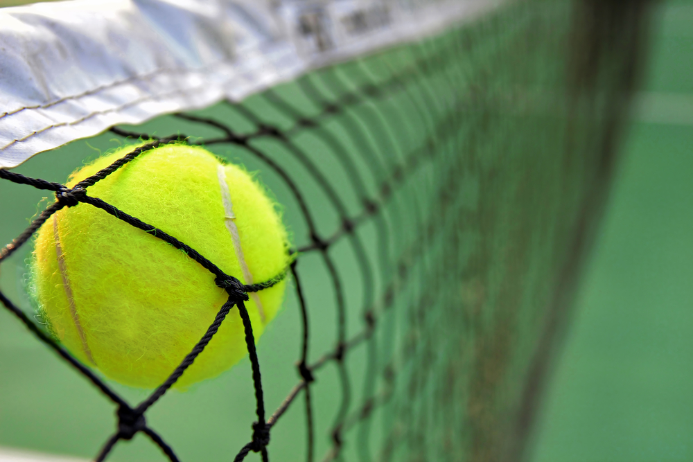 tennis-ball-in-net