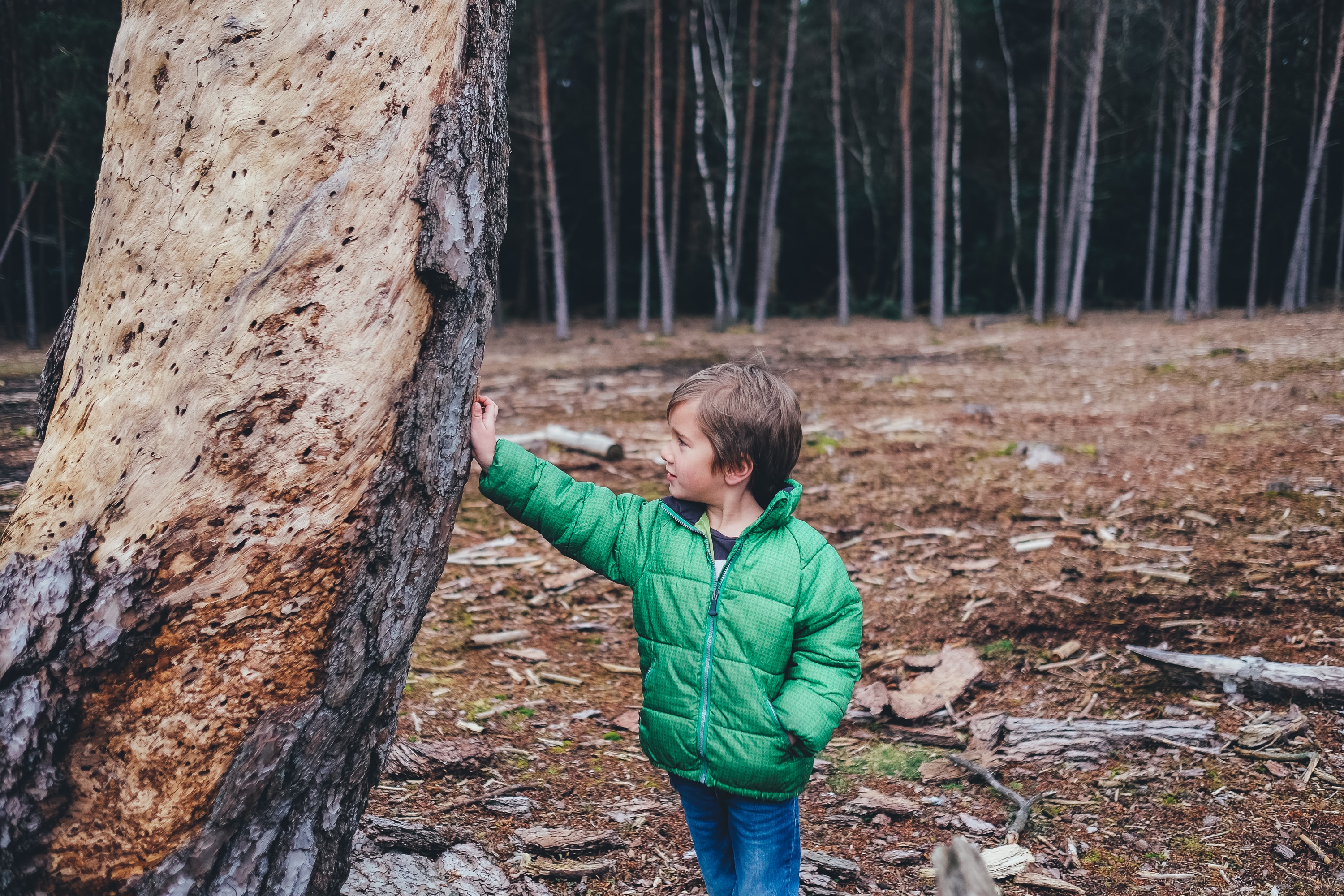  Parents should discuss the issue of eco-anxiety with children in an age-appropriate way.
