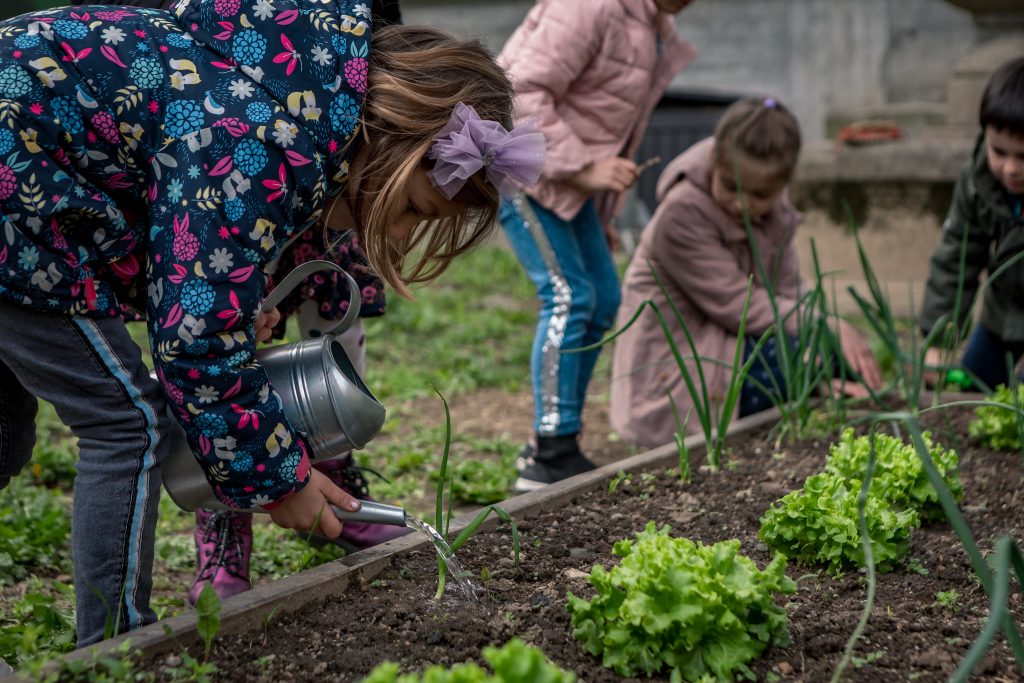 When you try it, you will quickly see that there are a bunch of stuff kids could learn from composting process.