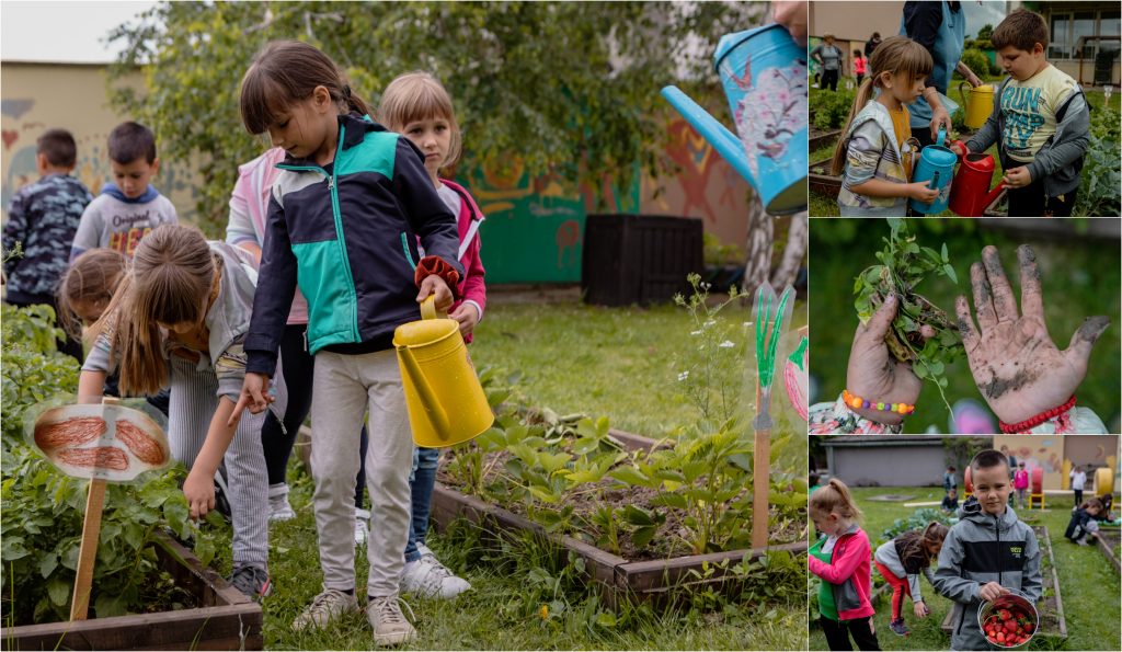 Thanks to our program "ABC of Better Me", children in preschools throughout Serbia enjoy all benefits of gardening. 