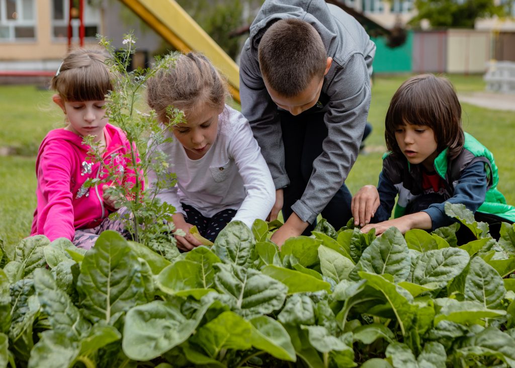 There are numerous benefits of gardening for children. 