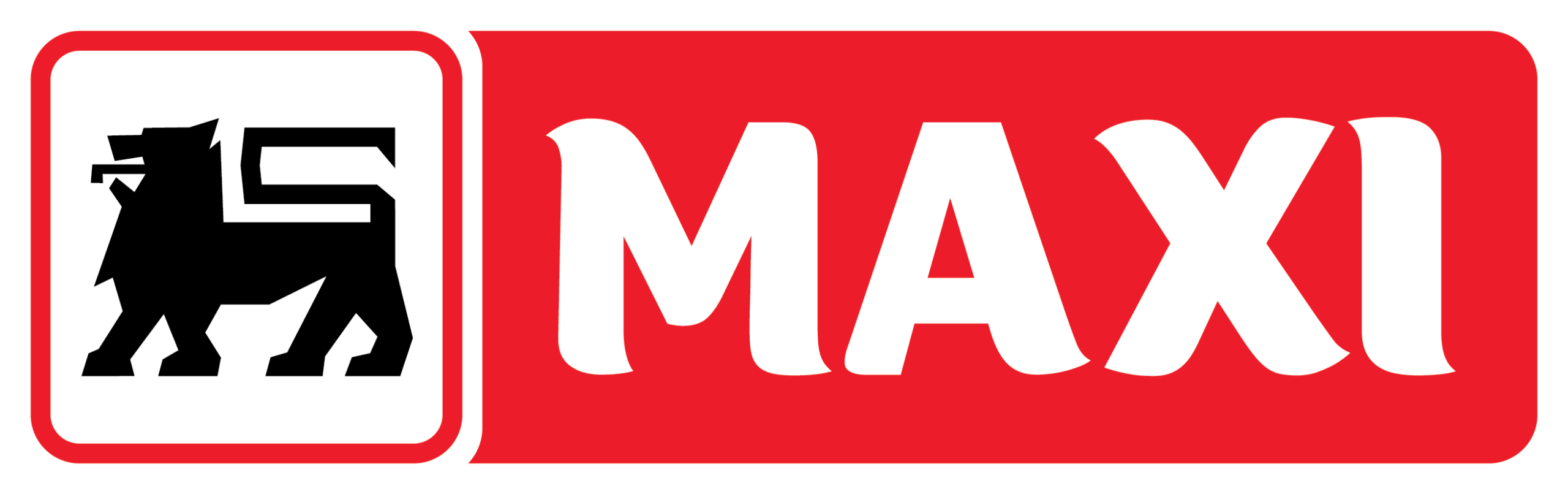 Maxi logo